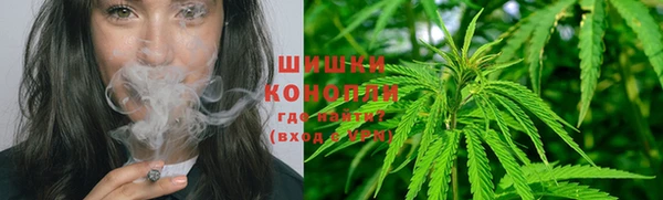 прущие грибы Абинск