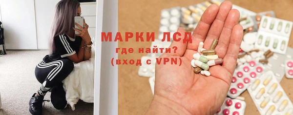 прущие грибы Абинск