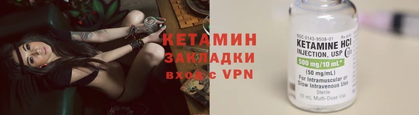 прущие грибы Абинск
