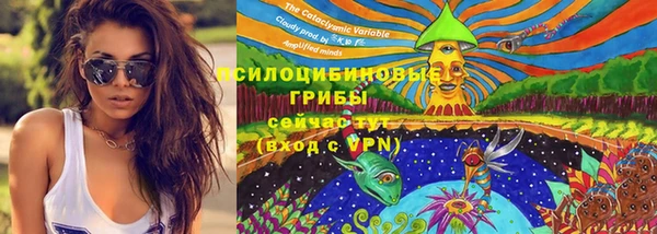 прущая мука Абаза