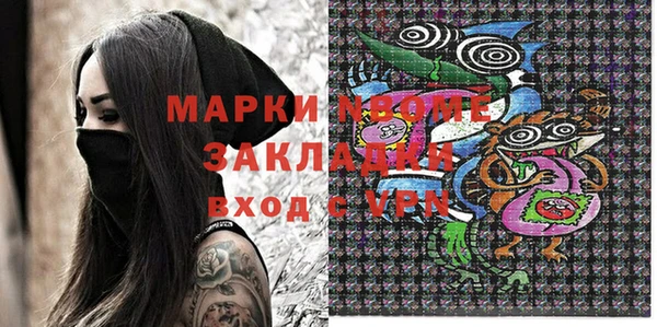 прущие грибы Абинск