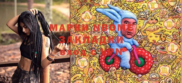 ГАЛЛЮЦИНОГЕННЫЕ ГРИБЫ Дмитриев
