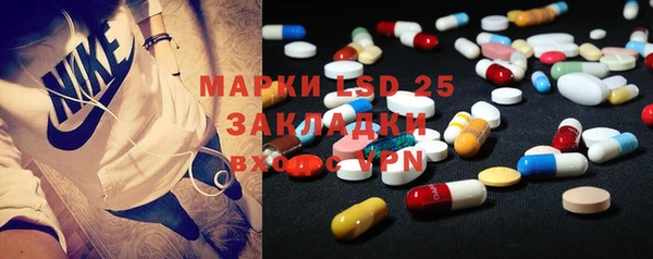 прущие грибы Абинск
