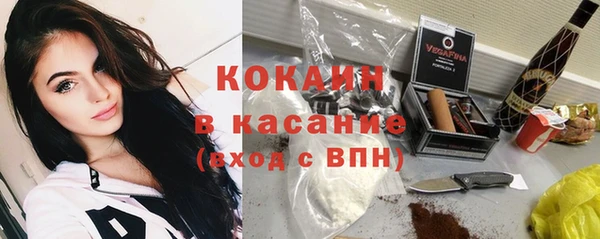 прущие грибы Абинск