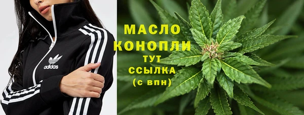 прущие грибы Абинск